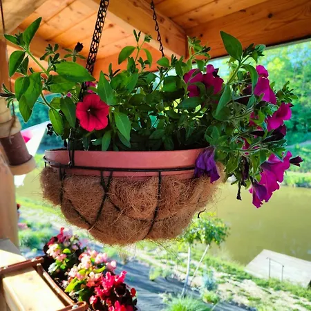 Siedlisko Sielska Dolina Nad Stawem Luksusowy Caloroczny Z Klimatyzacja